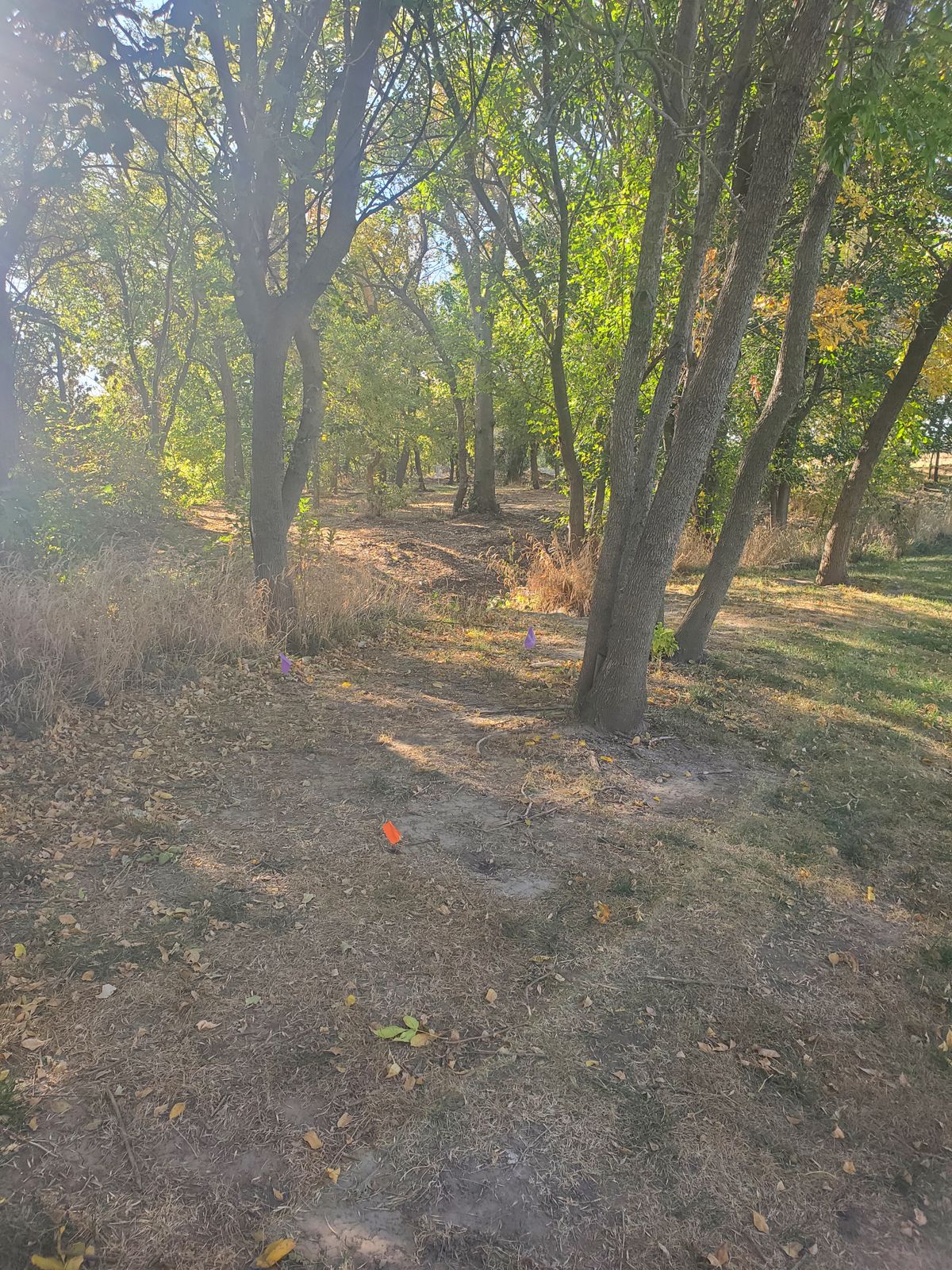 Hole 7