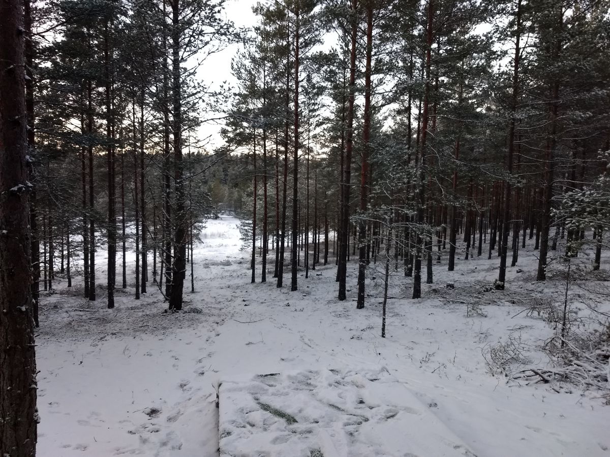 Hål 13