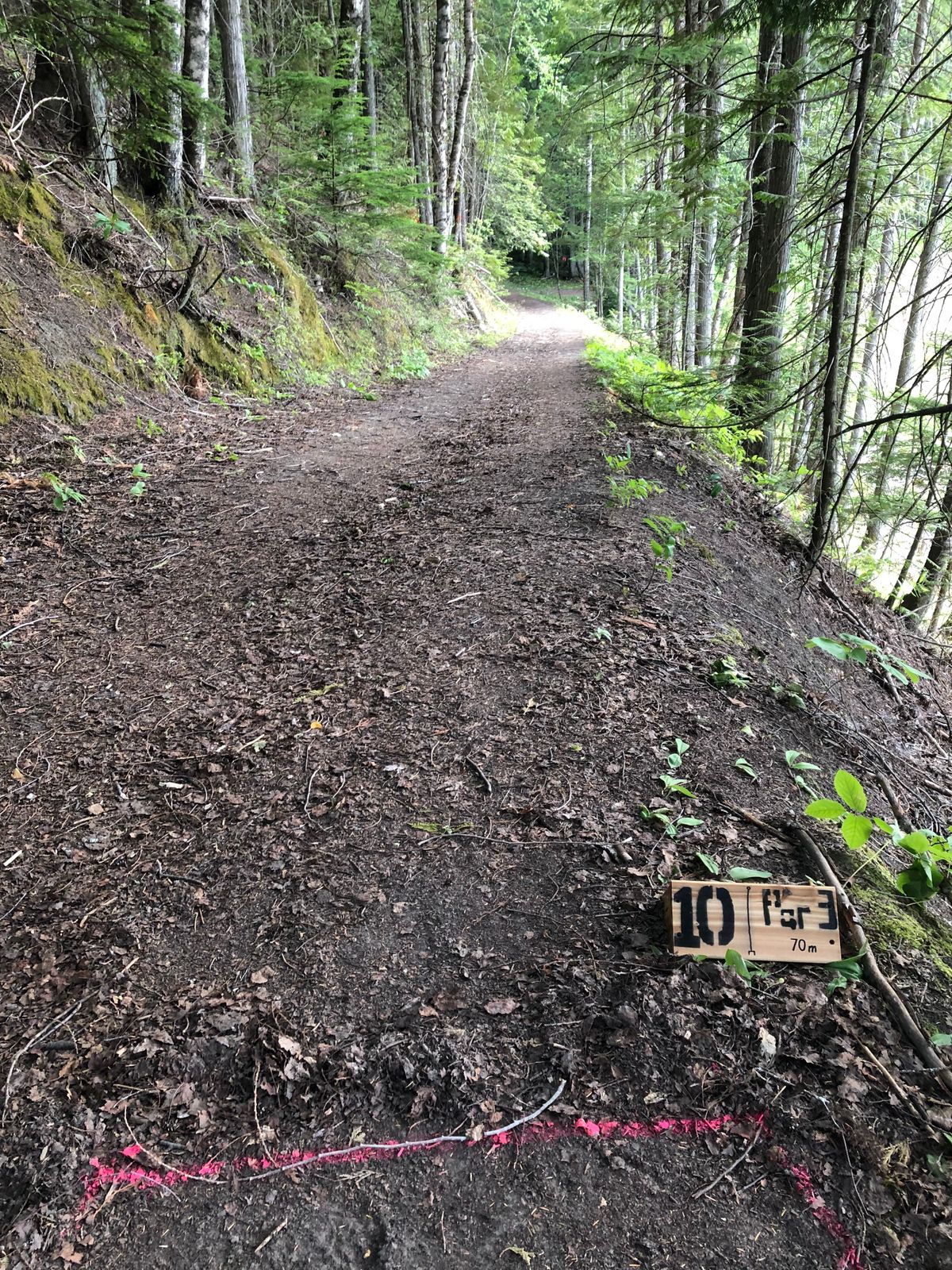 Hole 10 tee, straight shot down the path.