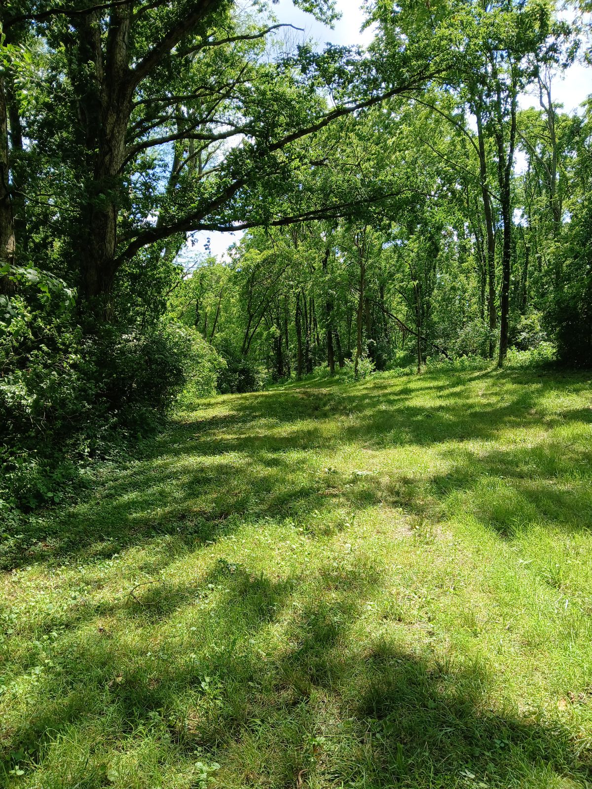 Hole 4 Tee