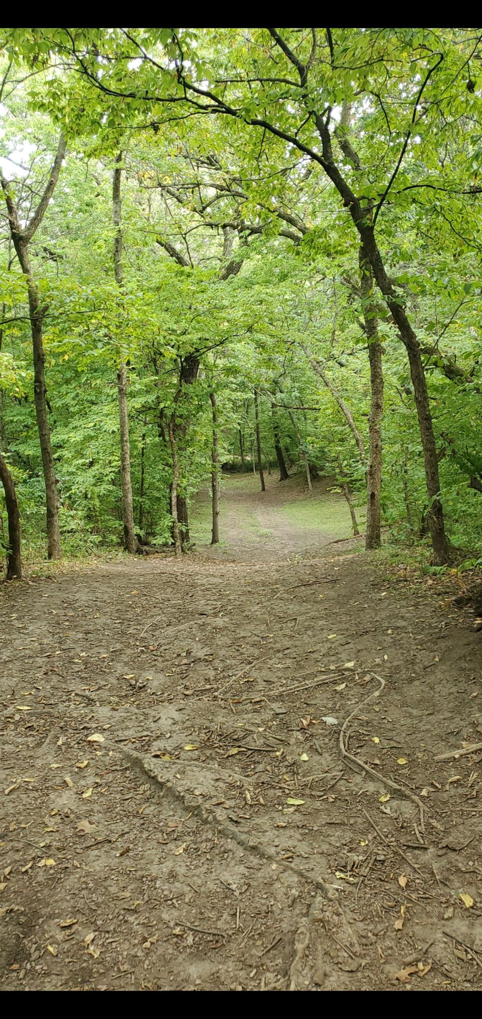 Hole 12