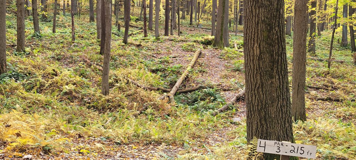 Hole 4 - October 2022