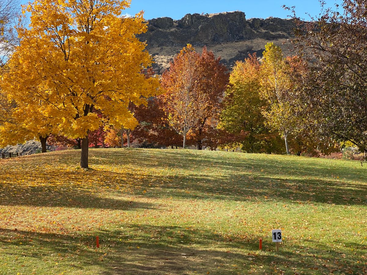 Tee of 13. The last hole if you start near the gate.
