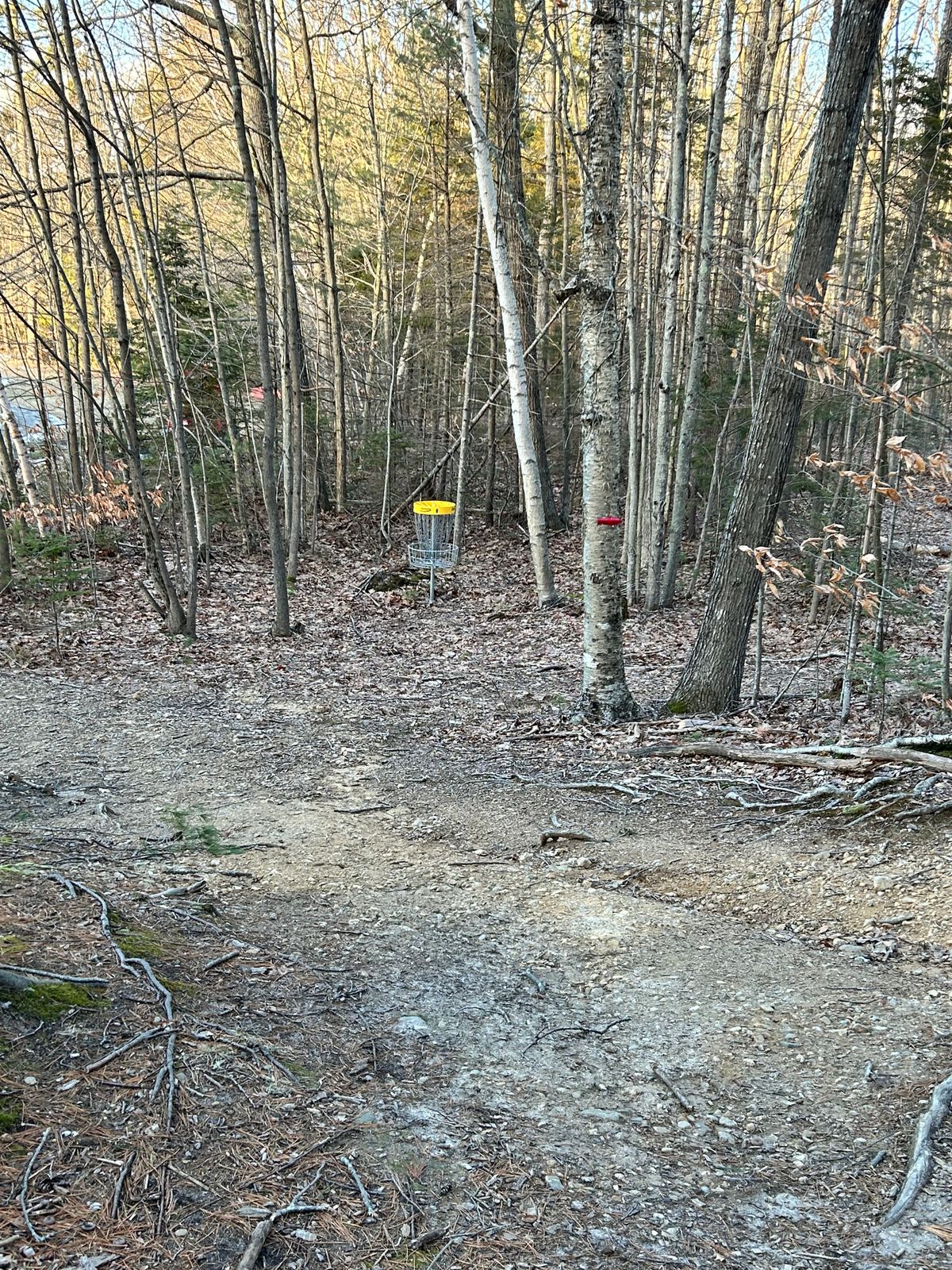 Downhill approach to the 8th hole