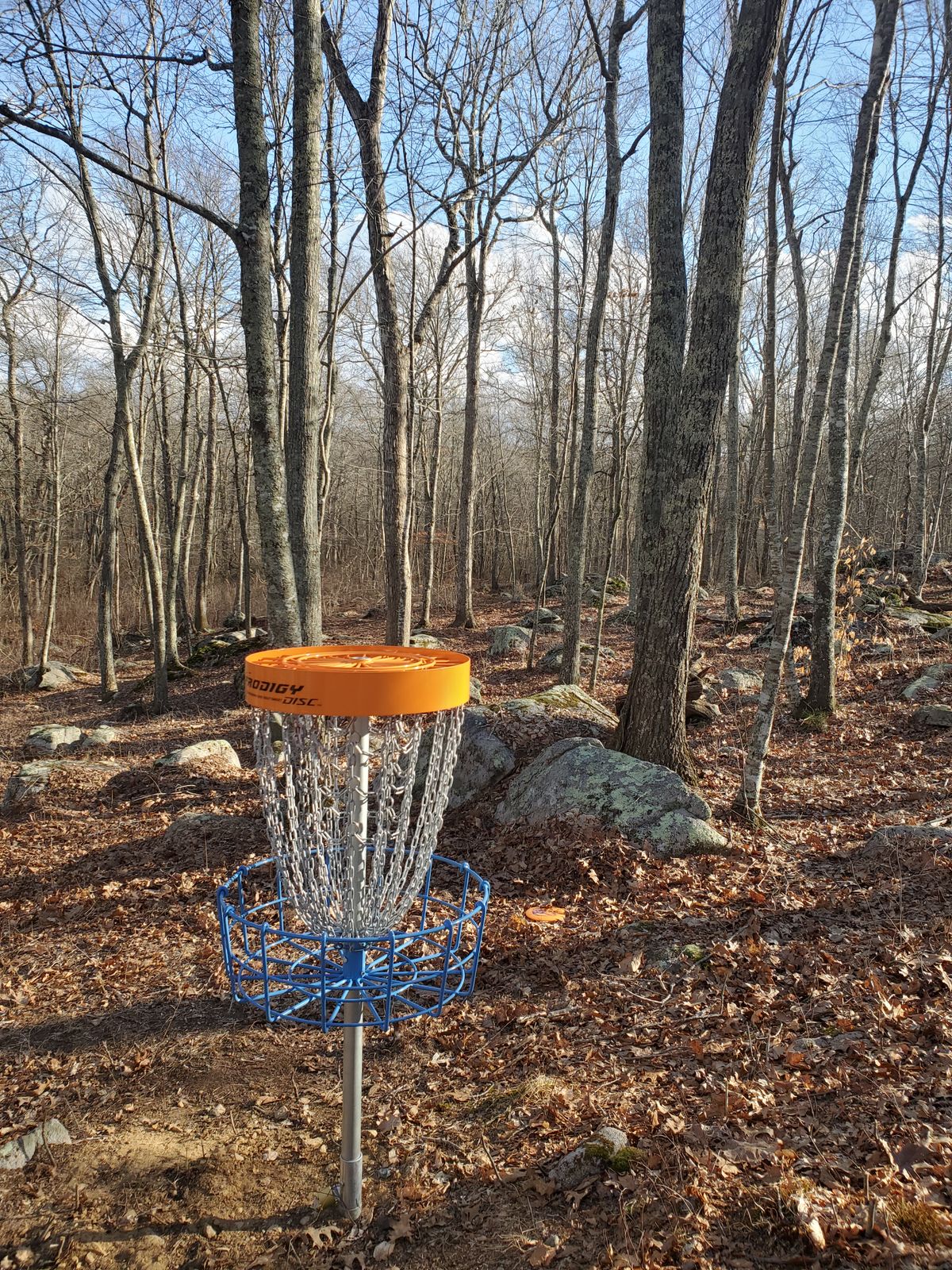 hole 3 (tee in background)