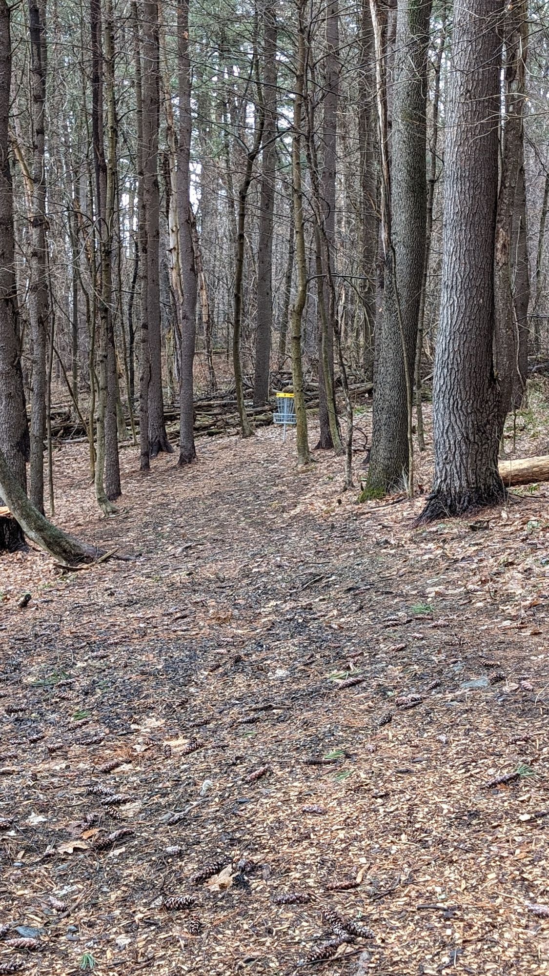 Hole 3 Approach