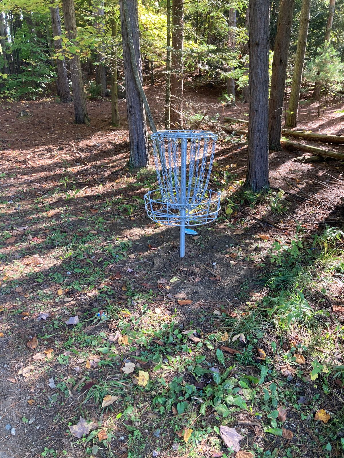Hole 3 basket