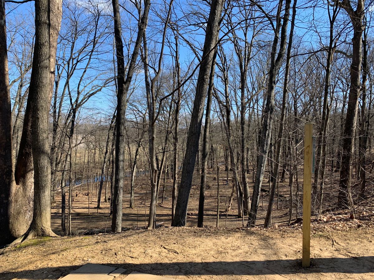 The view from on top of 12 of additional holes