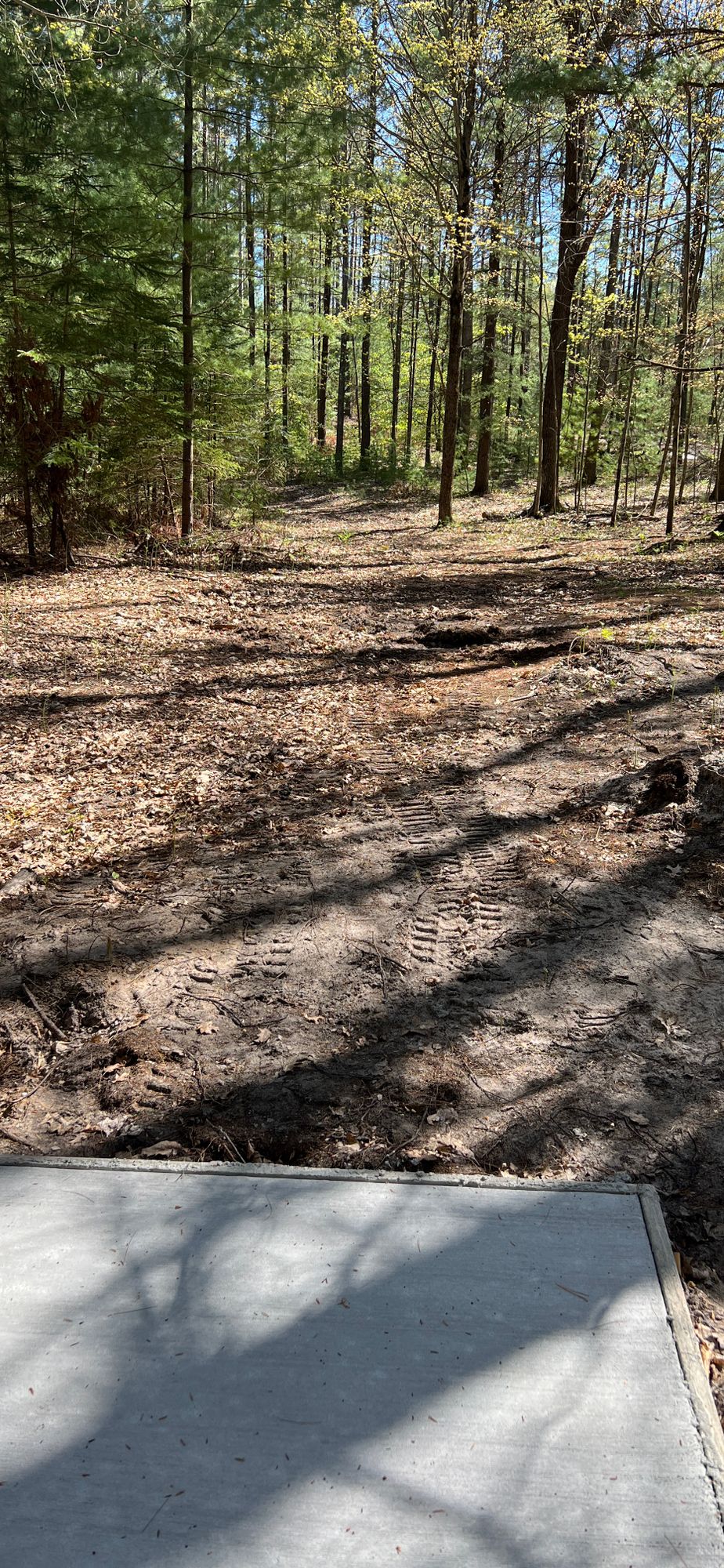 Hole 8