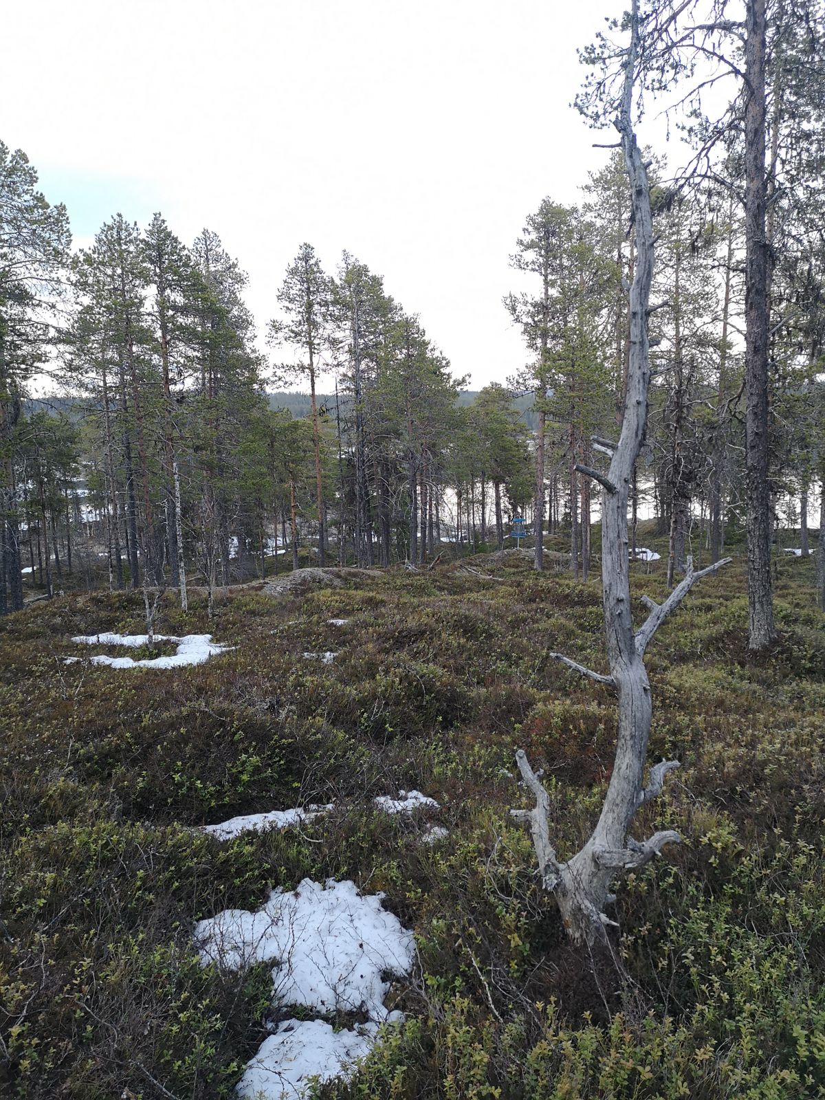 Hål 11