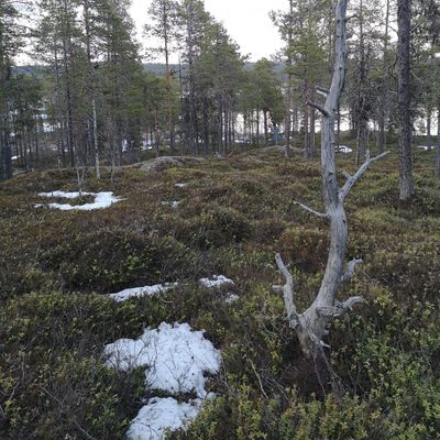 Hål 11