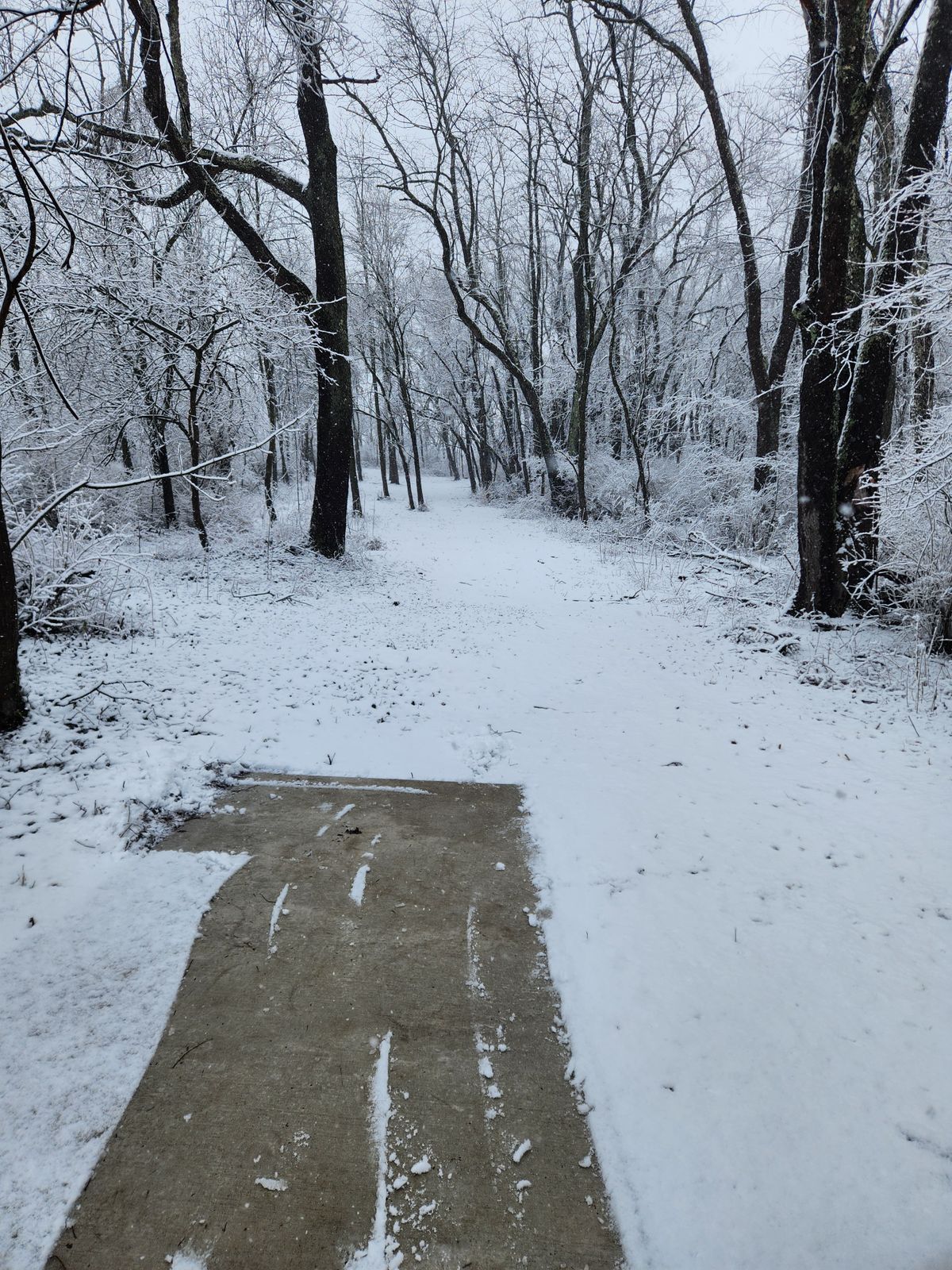 Hole 5 from the short tees at Beach City Dam! Playing during a heavy snowfall!