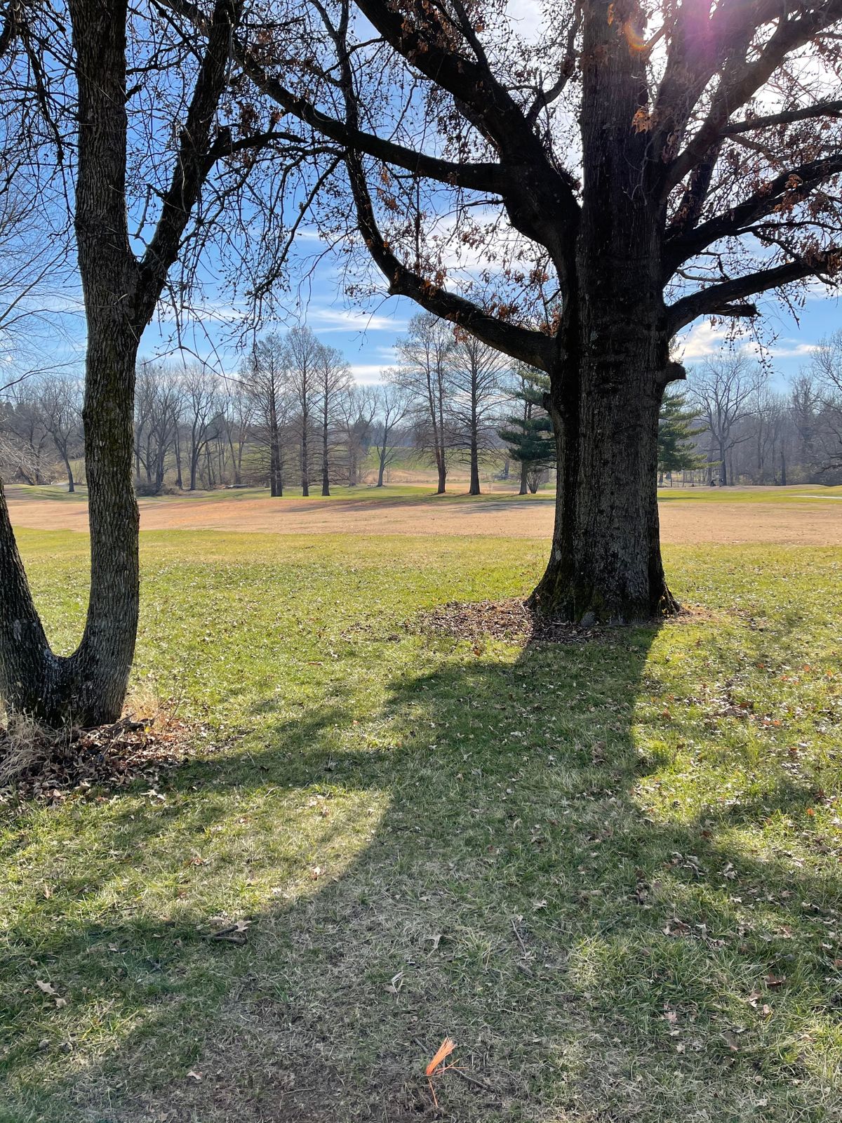 Hole 17s tee view. Basket is in short position