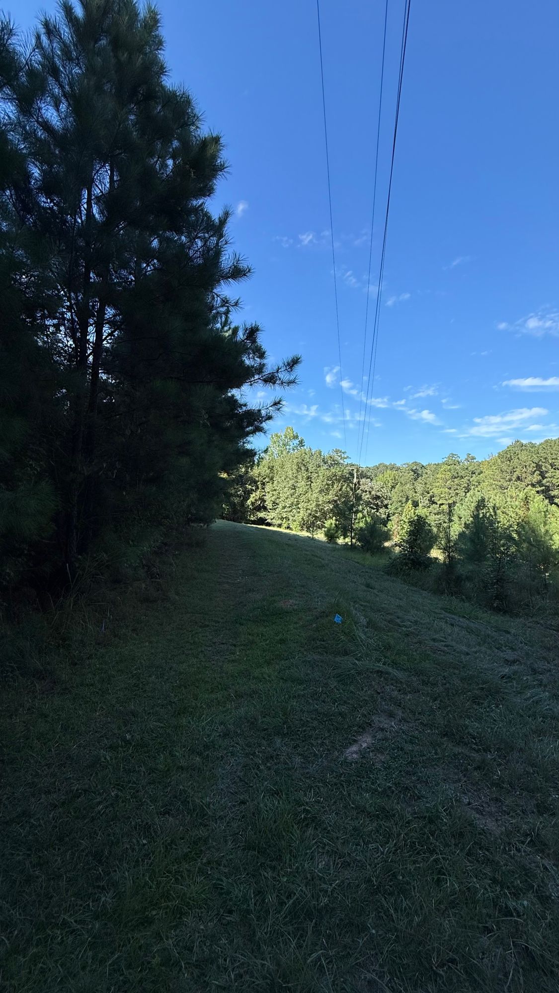 Hole 5: Tee Shot