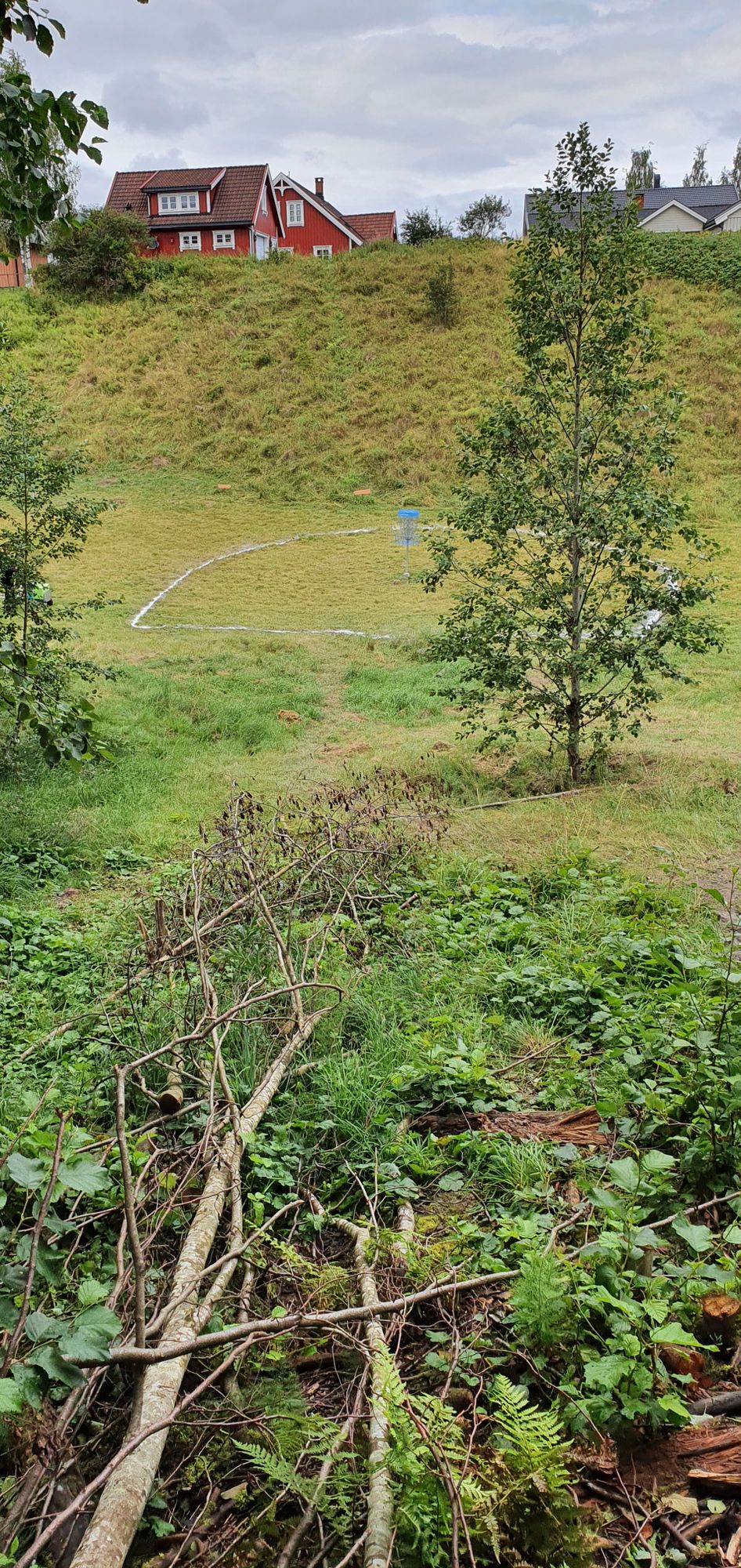 Øy hull 5. DZ på kumlokk.