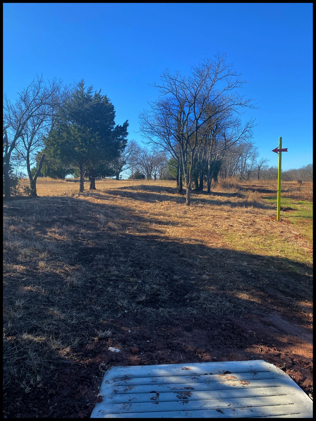 #8 fore Tee Throwing west