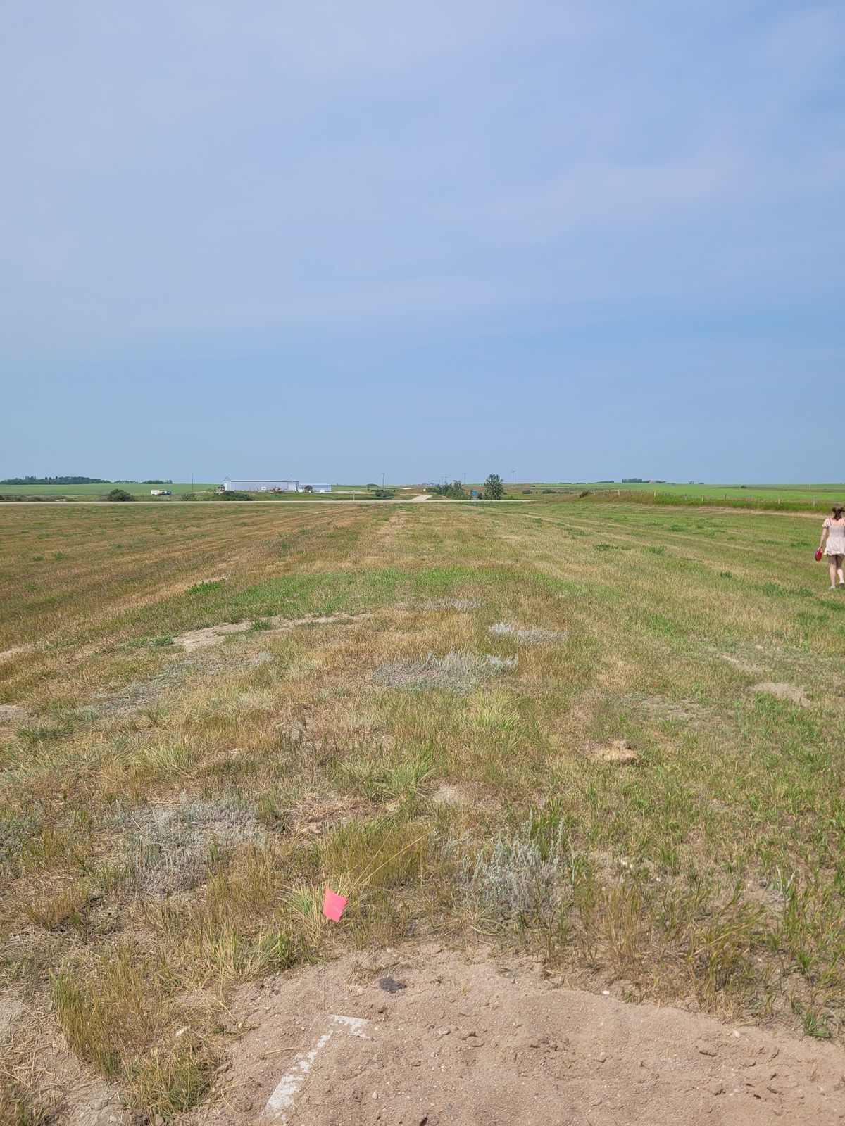 Tee #4 and Basket in distance