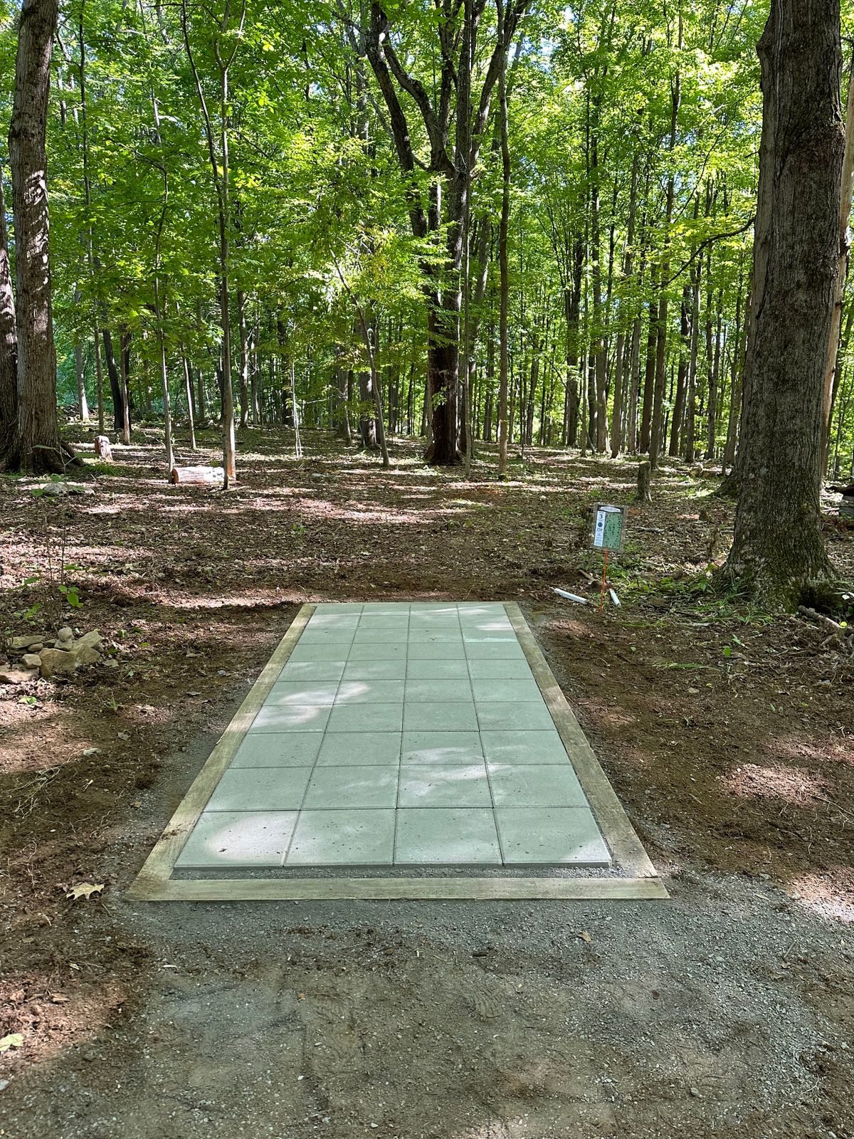 Hole 7 (3 of the Forest Loop). Hyper right, forehand left, or right up the middle and hit the 5 foot gap?