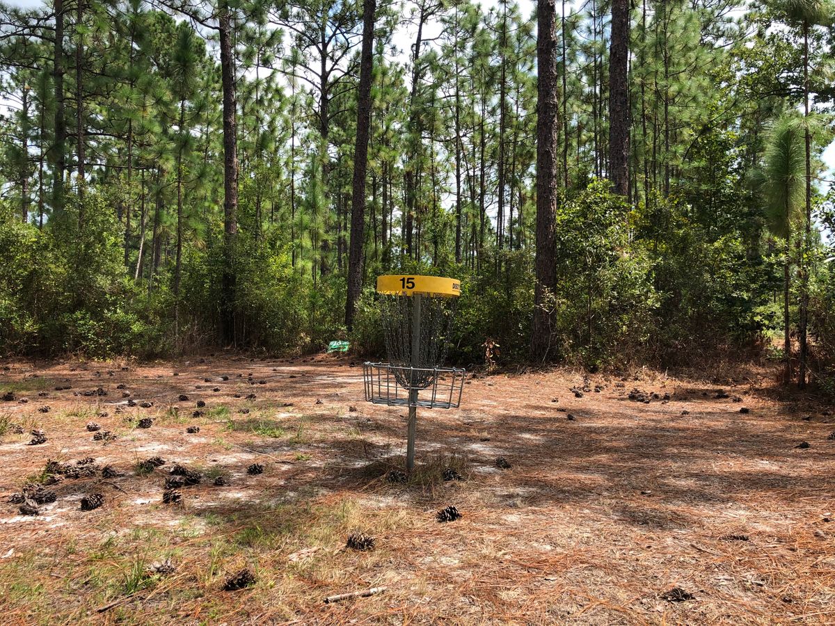 Hole 15