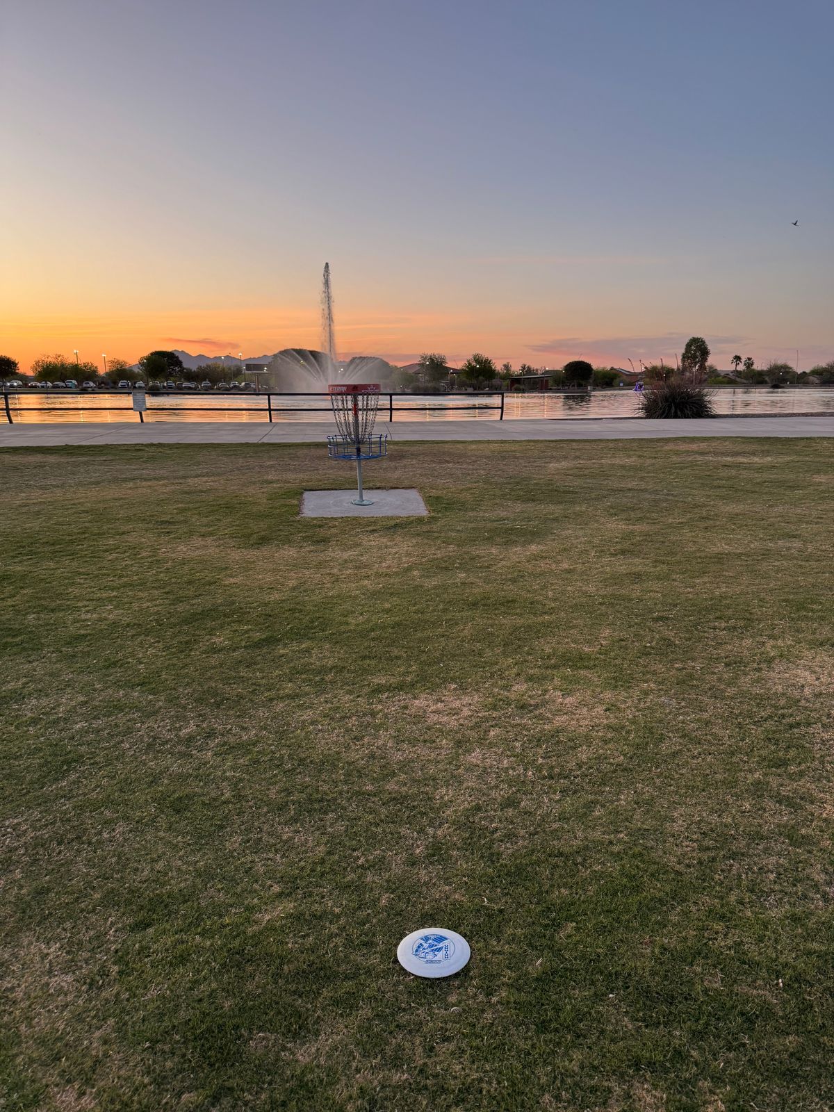 Hole 14 basket