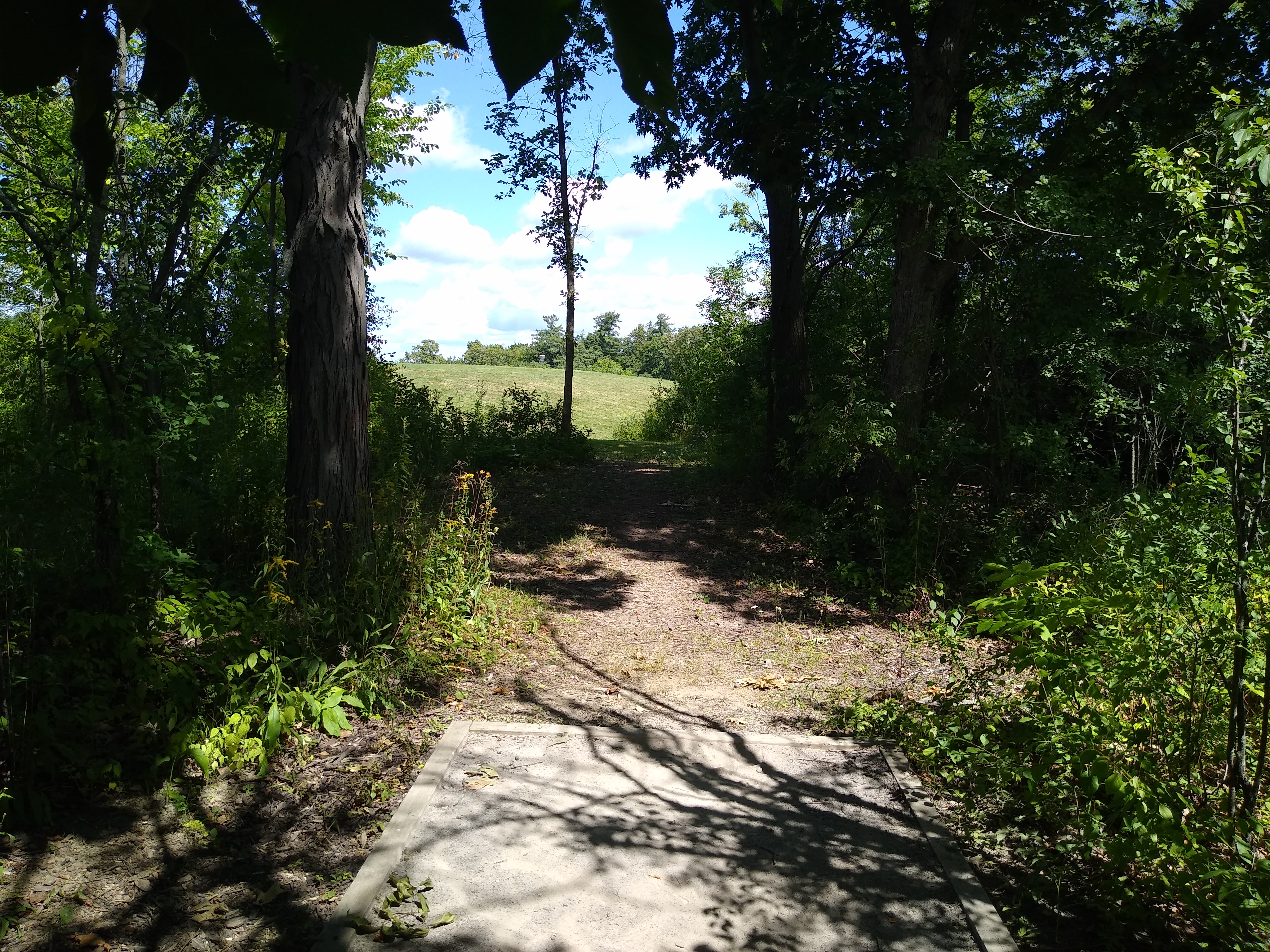 Rec/Women Discap March Monthly @ Blatnick