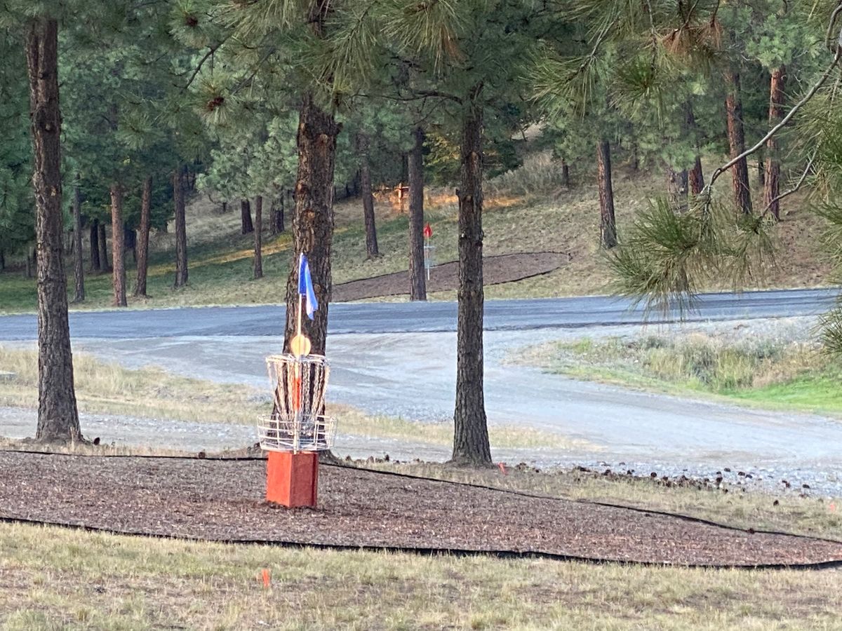 Hole 1 basket and wood chip bullseye