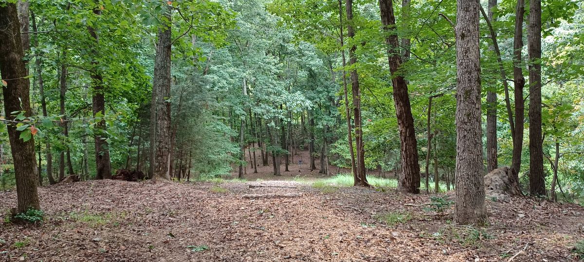 Hole 1 - it's a pretty steep hill!