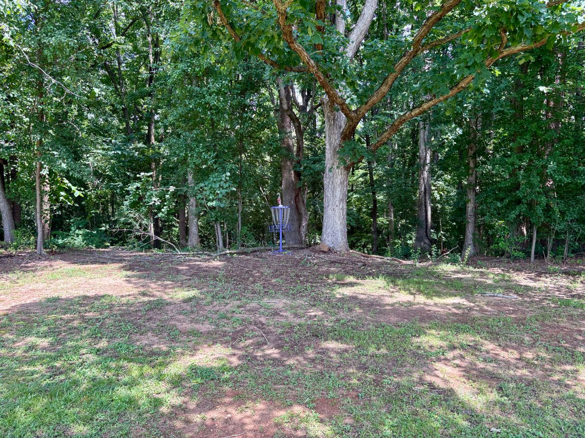 Hole 14 basket
