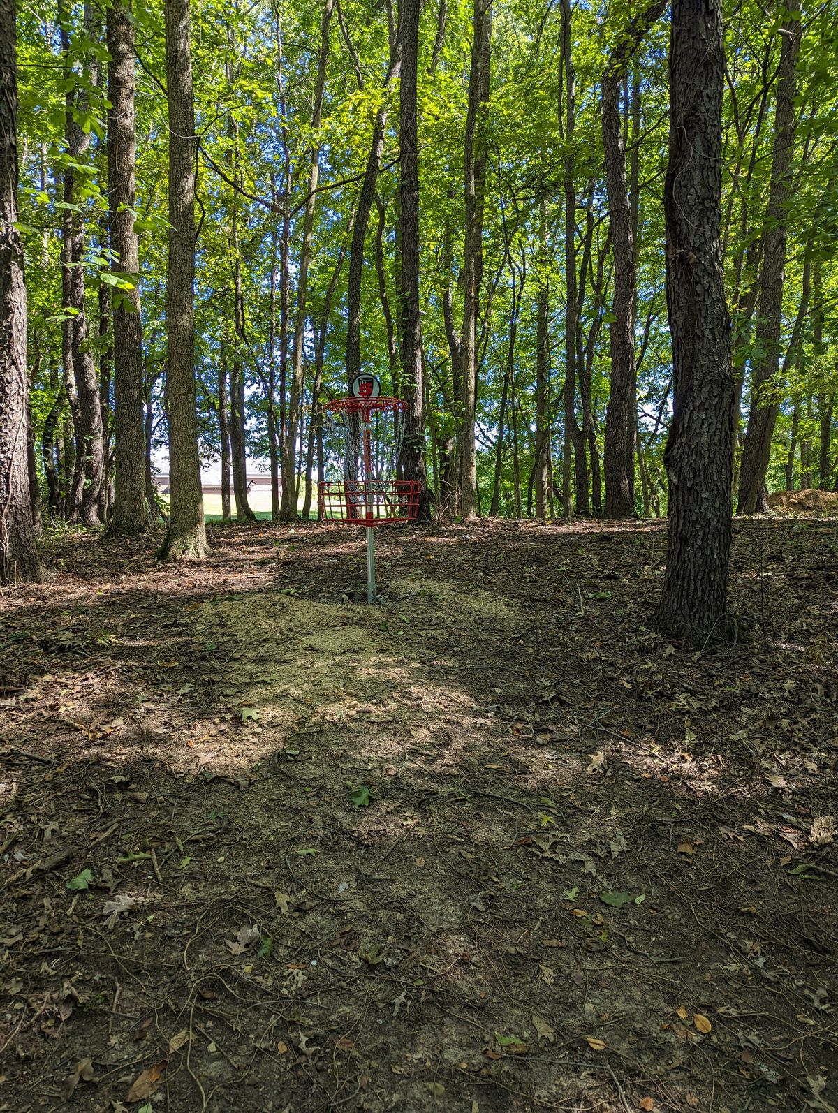 Hole 5 Basket