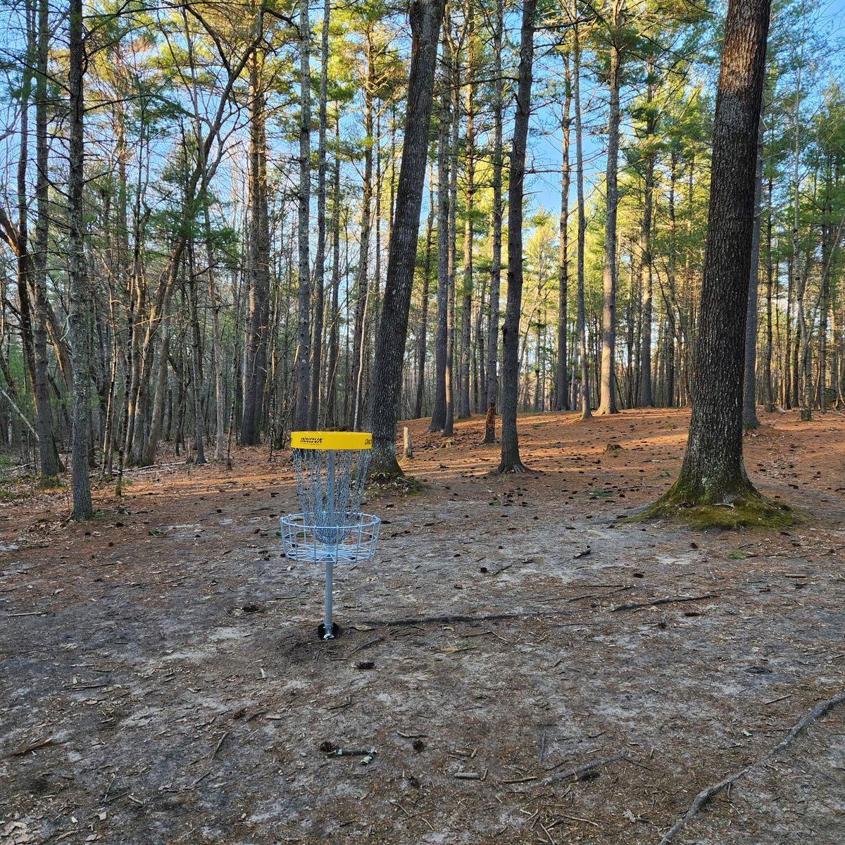 Hole 9