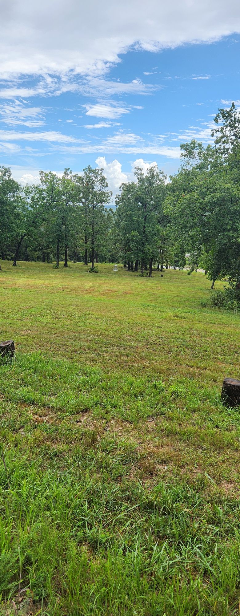 Hole 8