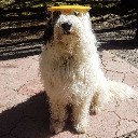 User avatar image