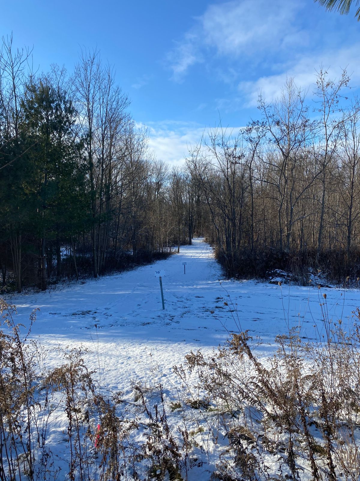 Hole 16