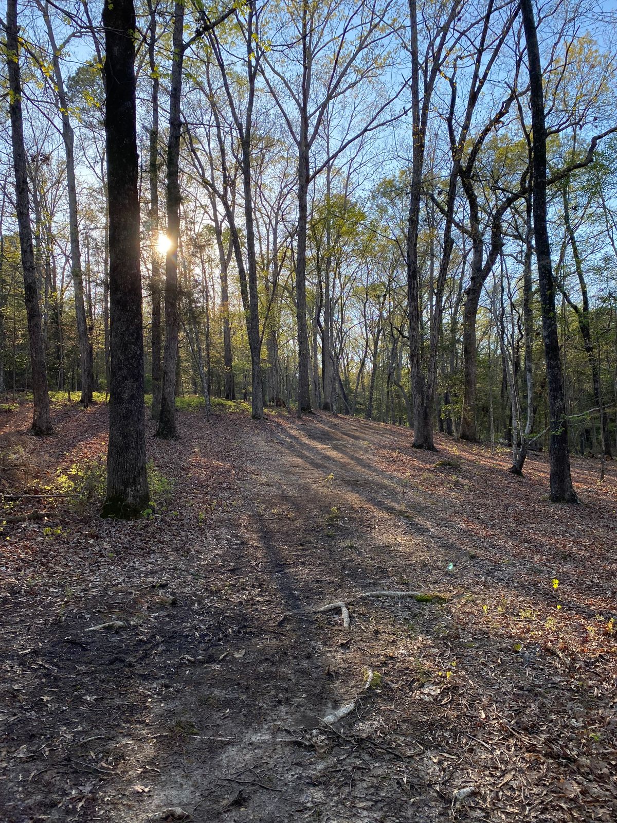 Hole 6