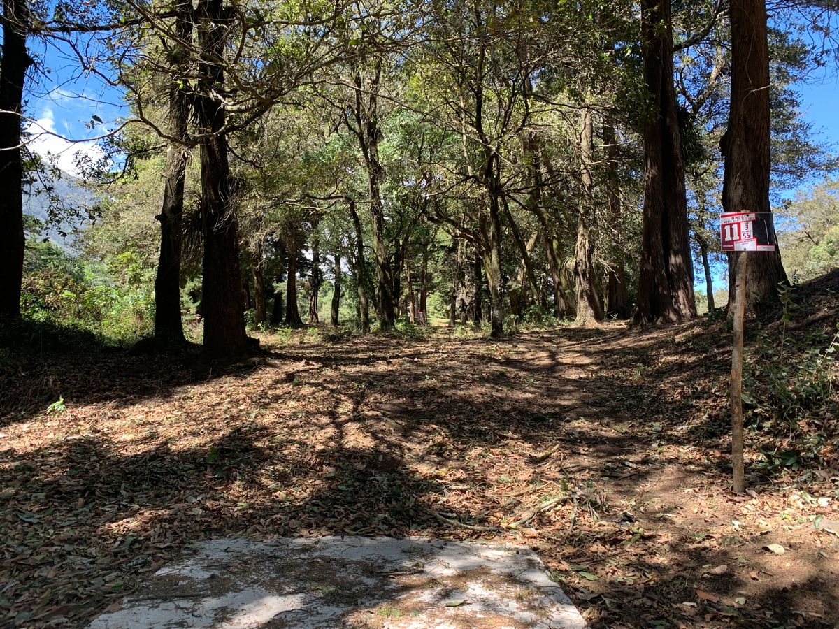 Hole #11 tee pad