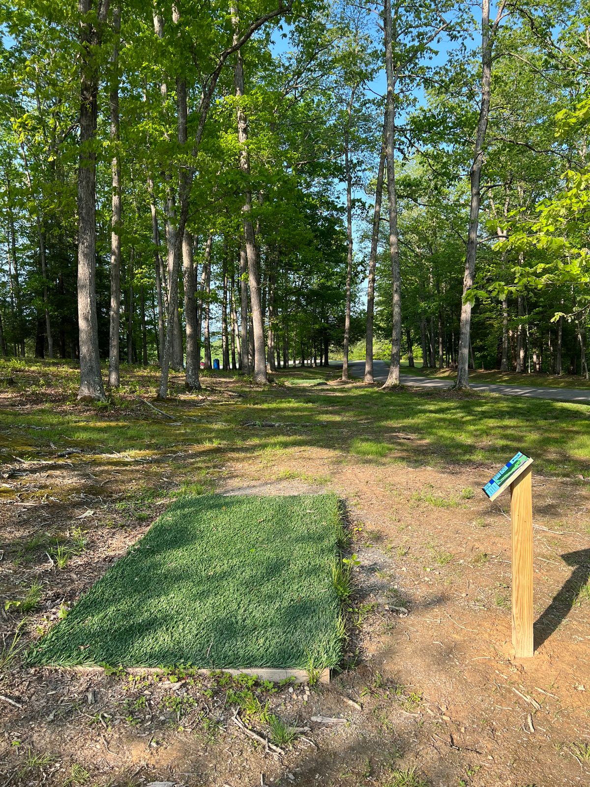 Hole 2 Blue Tee