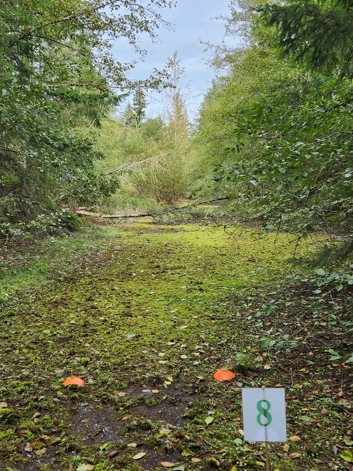 Hole 8