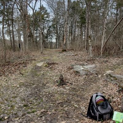 Hole 8 from tee pad with new he information.