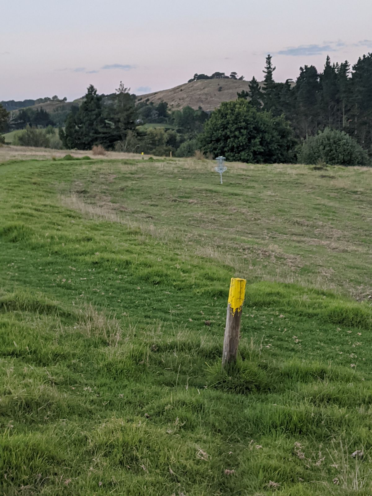 Hole 5 basket