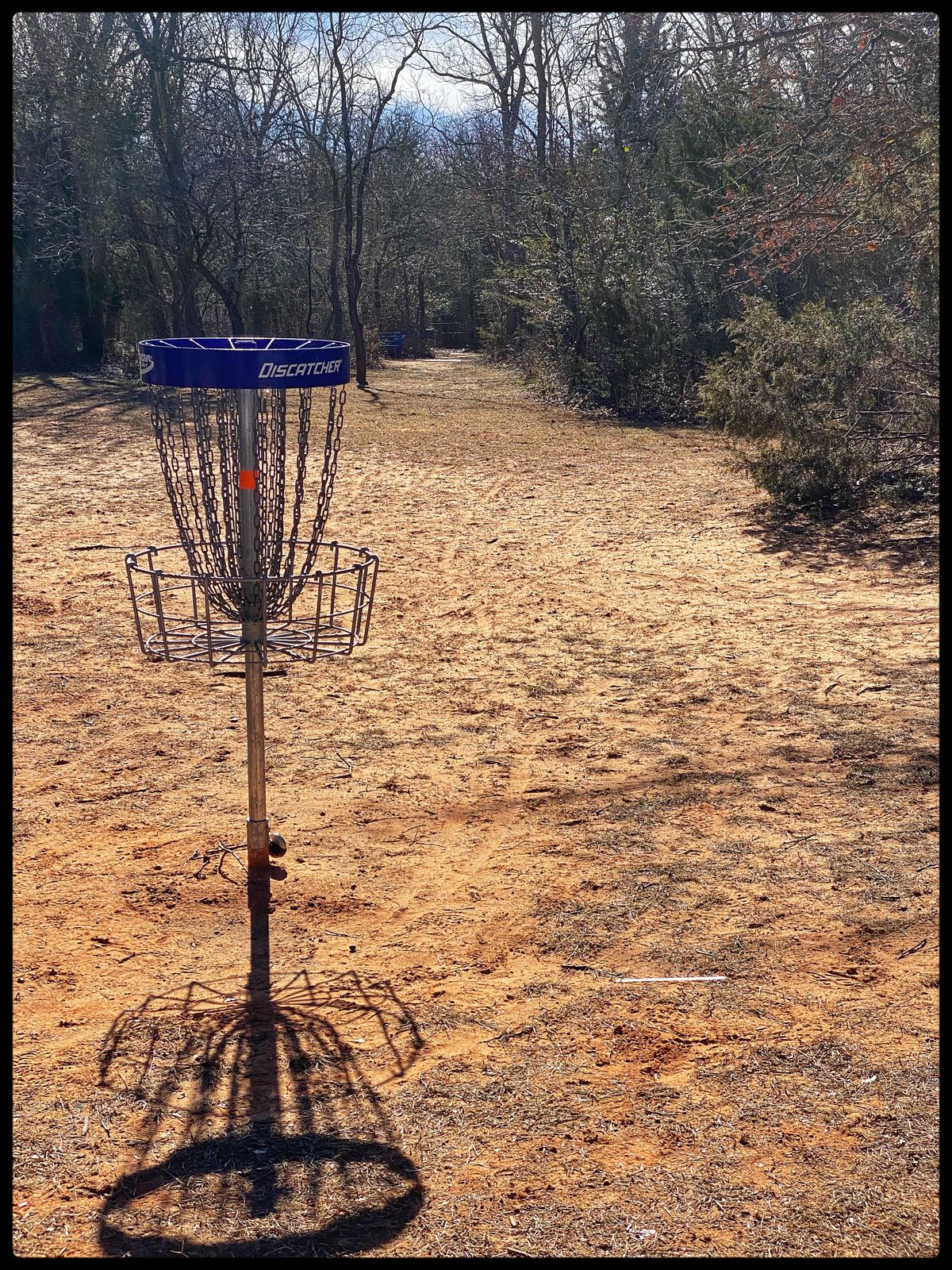 #4 green looking back