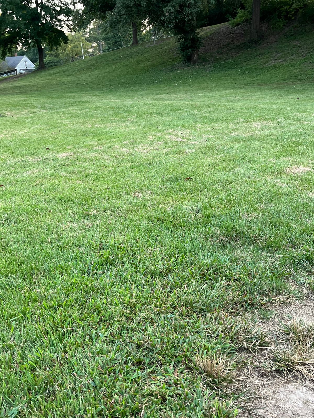 8 tee