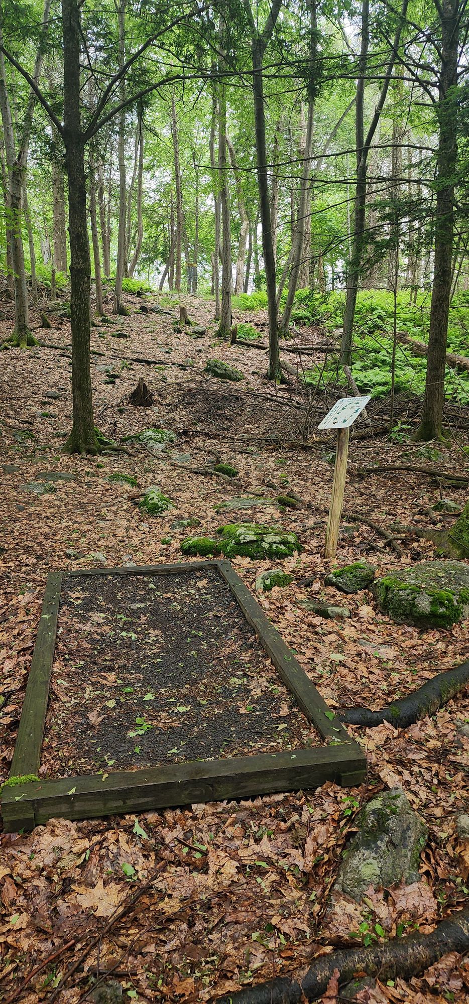 Hole 4 uphill shot