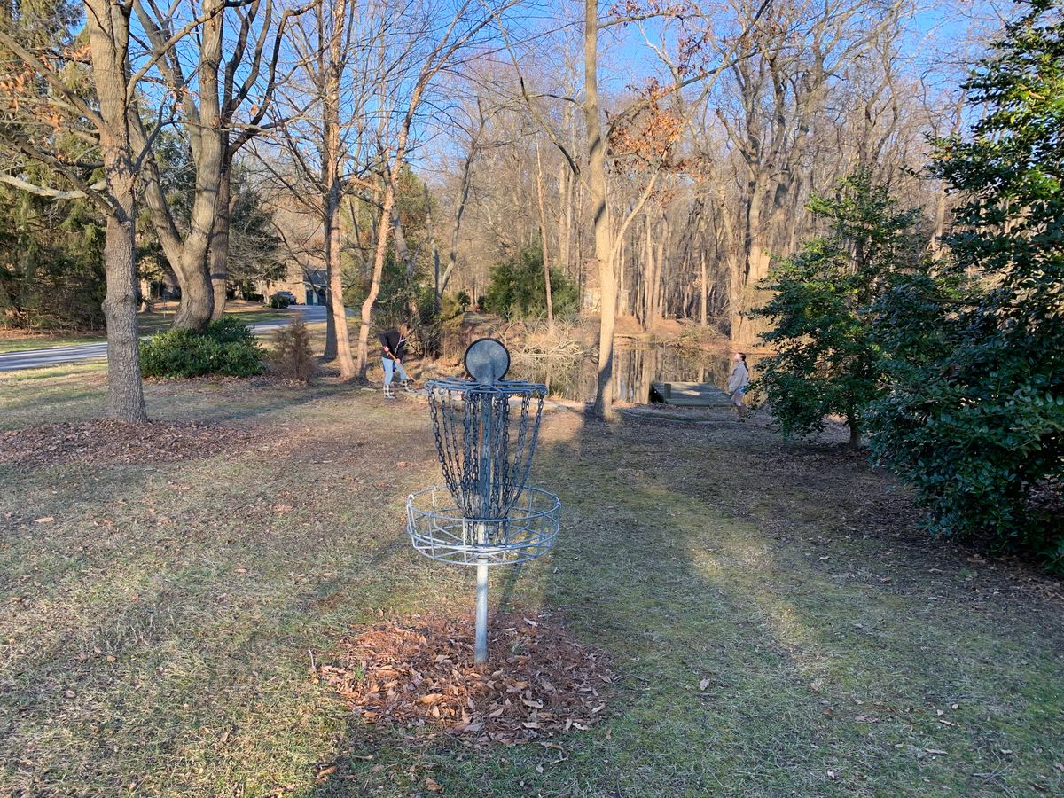 Hole 5 blue basket