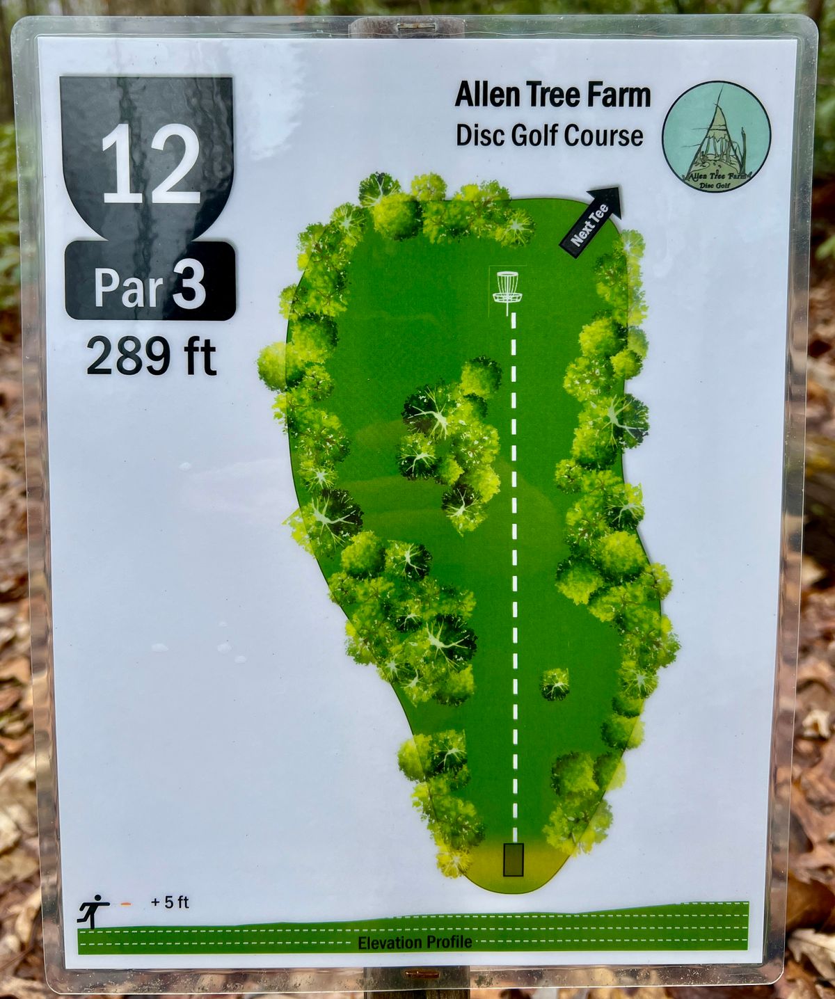 Hole #12