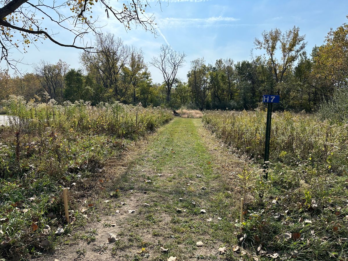 Hole 7 Tee