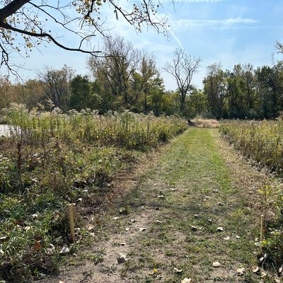 Hole 7 Tee