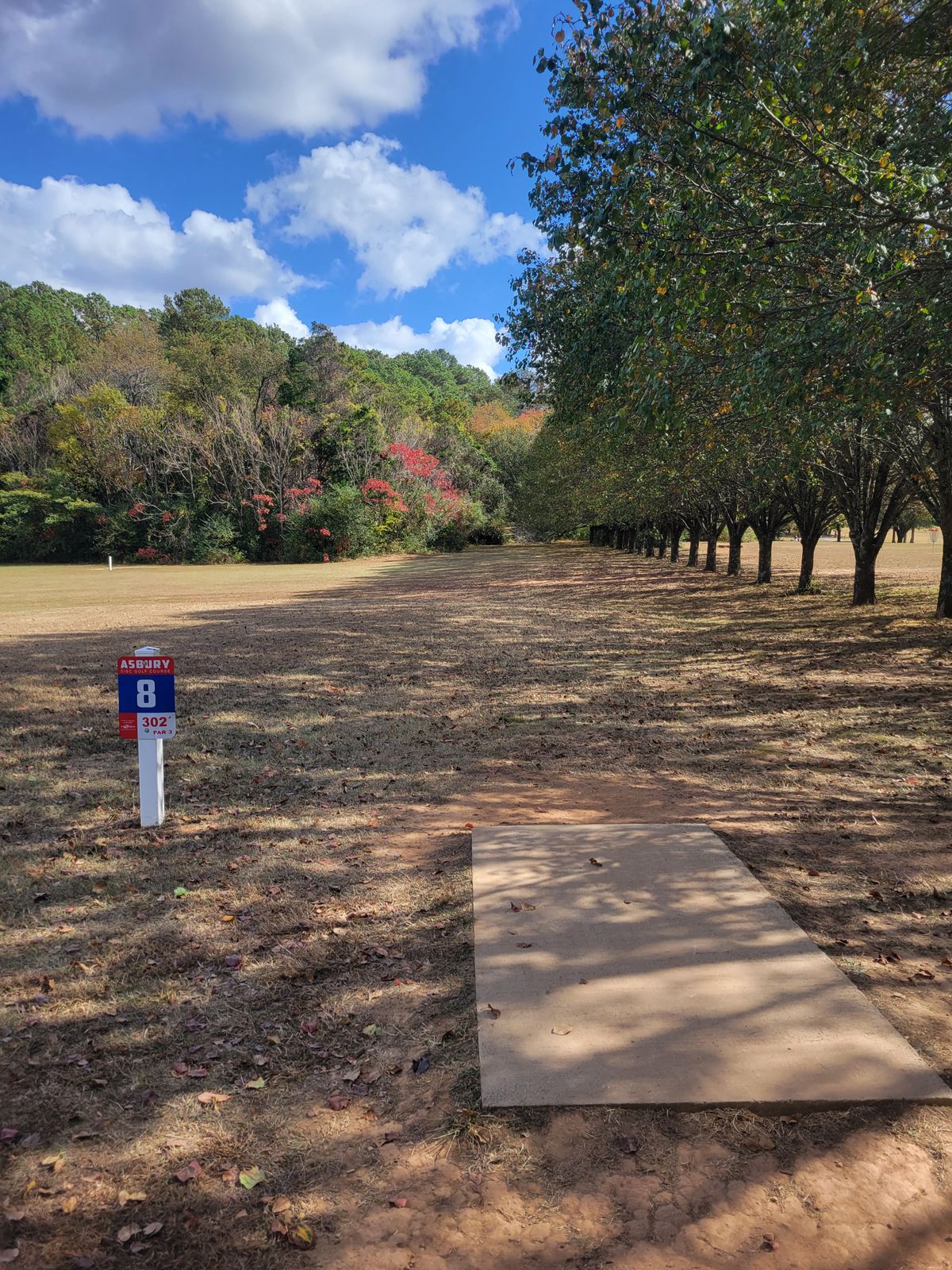 Hole 8 tee
