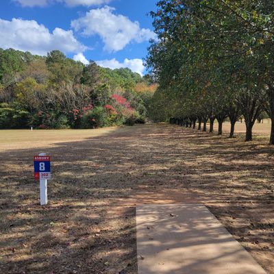 Hole 8 tee