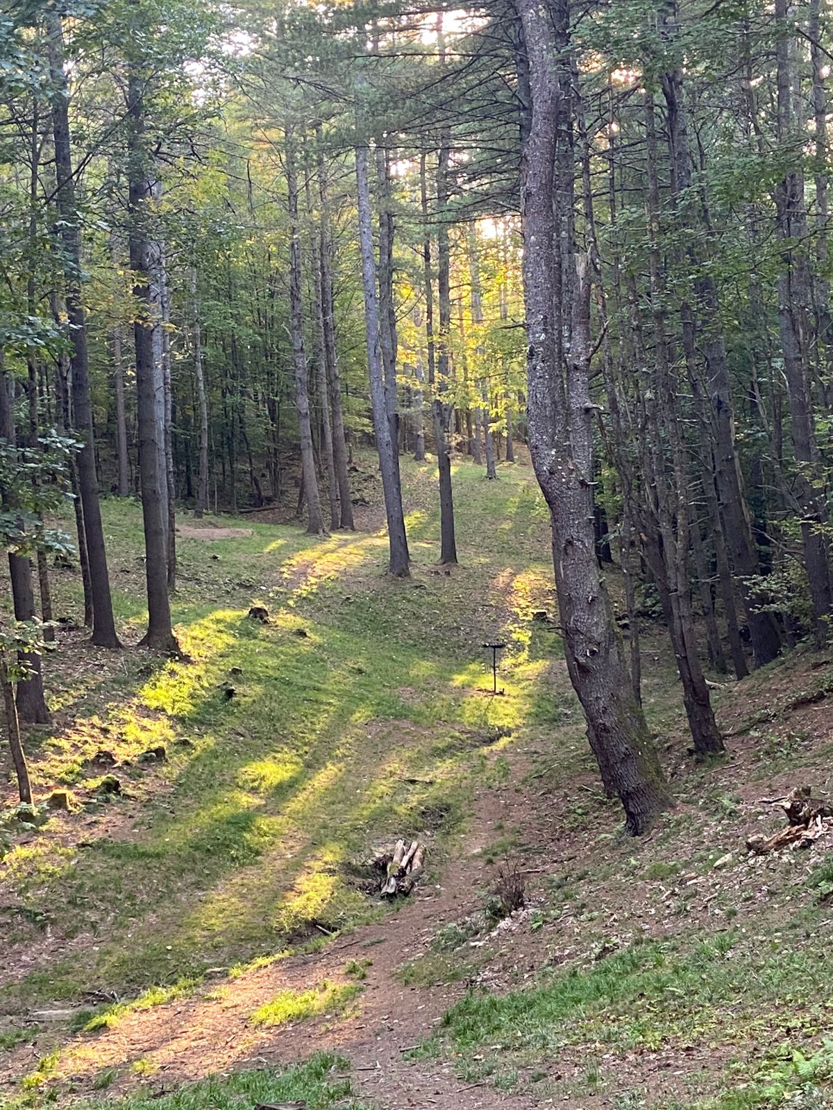 Hole 8 down the fairway