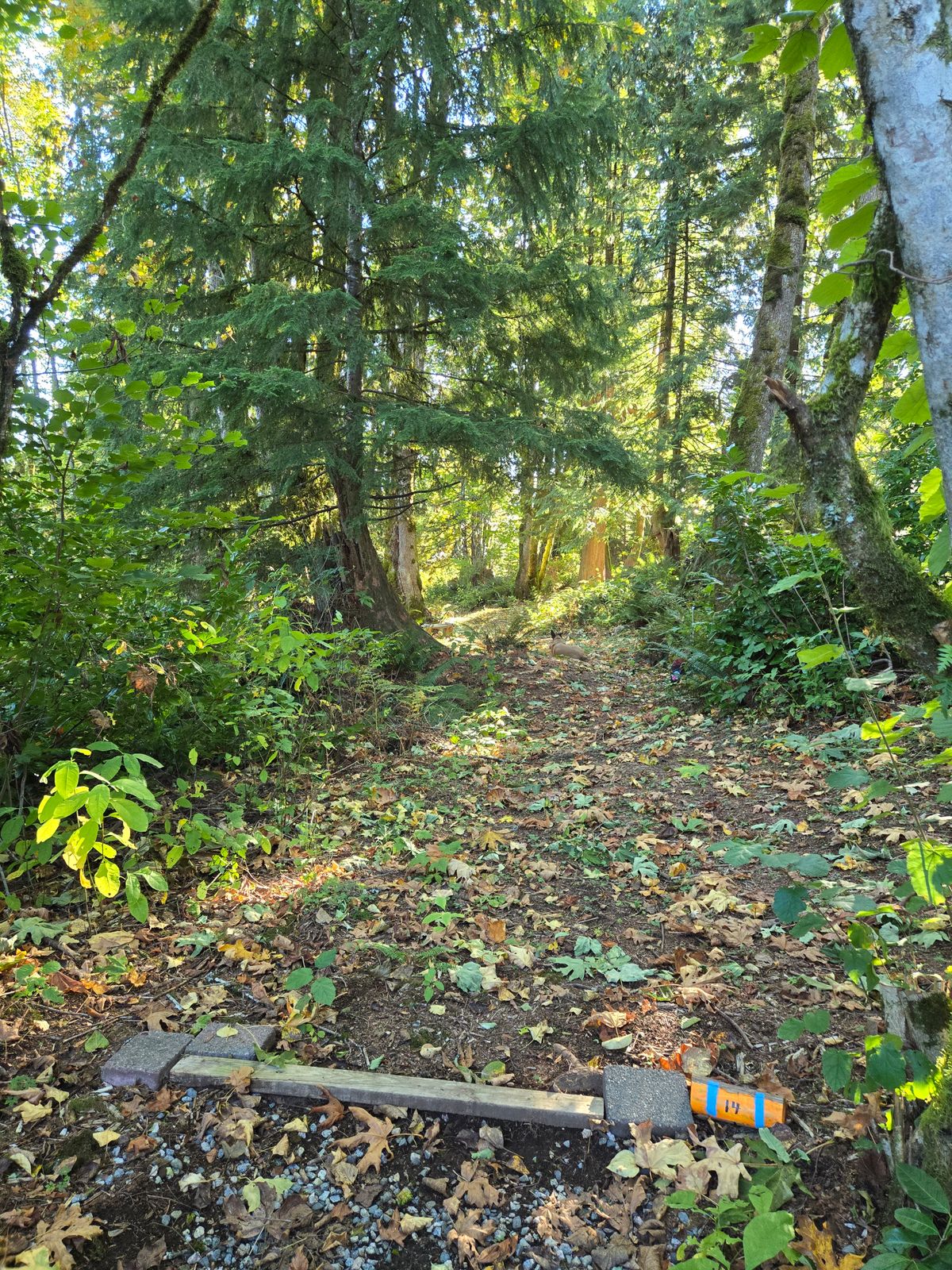 Beautiful all year round, Blue 14.